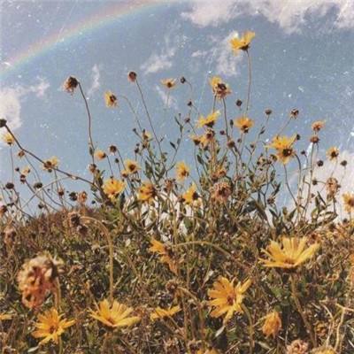 星空游戏app下载截图